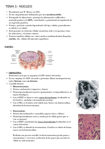 T3-bio.pdf