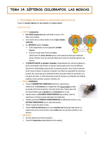 tema-14-fauna-y-salud-DIPTEROS-CICLORRAFOS.-LAS-MOSCAS.pdf