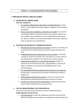TEMA 5 final.pdf