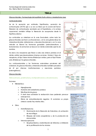 TEMA-26.pdf
