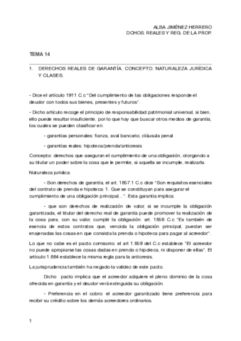 TEMA-14-CIVIL.pdf