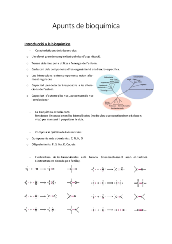 apunts-de-bioquimica.pdf