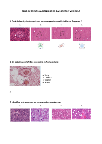 TEST-AUTOEVALUACION-HIGADO-PANCREAS-Y-VESICULA-.pdf