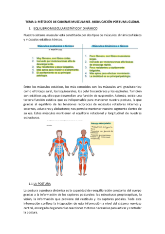 apuntes-tema-1-orges.pdf