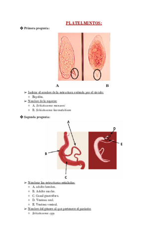 Preguntas-practicas-parasitologia.pdf