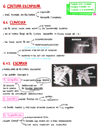 Apuntes-Punto-6-.pdf