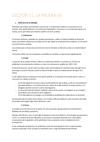 TEMA-11-PROCESAL-II.pdf