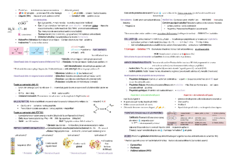 T4. COMPOSTOS NITROGENATS.pdf
