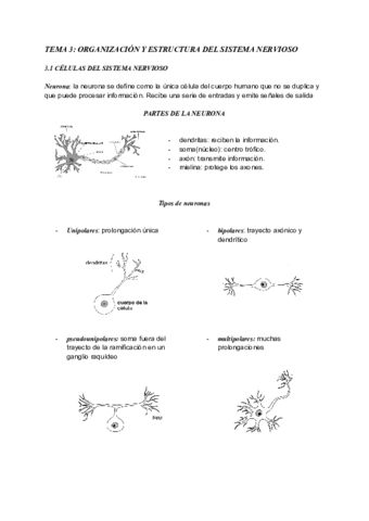TEMA-3-terminado.pdf