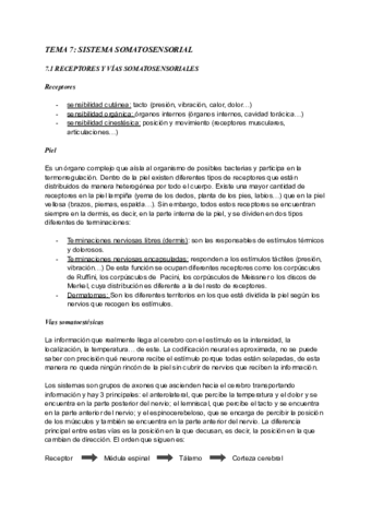 TEMA-7-terminado.pdf