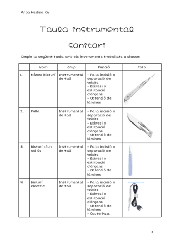 Taula-instrumental-sanitari.pdf