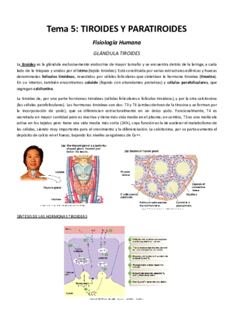 Tema-5-Tiroides-y-Paratiroides.pdf