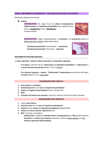 Tema-6-ortodoncia.pdf