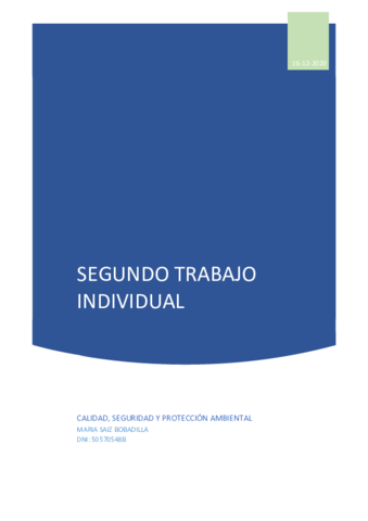Segundo-trabajo-individual.pdf