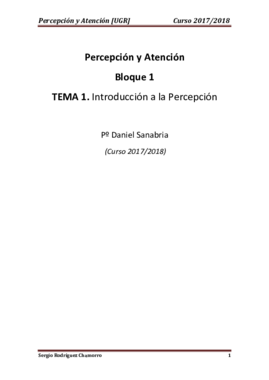 TEMA 1 Percepción.pdf