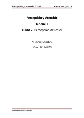TEMA 2 Percepción.pdf