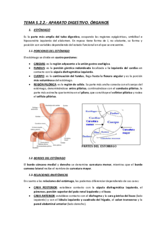 TEMA-26-APARATO-DIGESTIVO.pdf