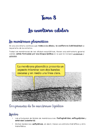 tema-8-biologia.pdf
