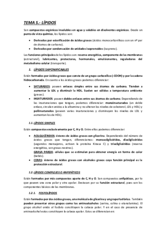 TEMA-5-LIPIDOS.pdf