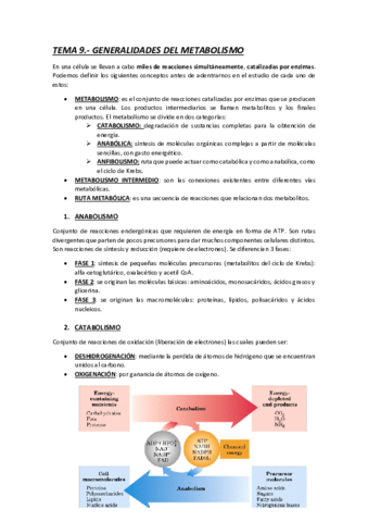 TEMA-9-GENERALIDADES-DEL-METABOLISMO.pdf