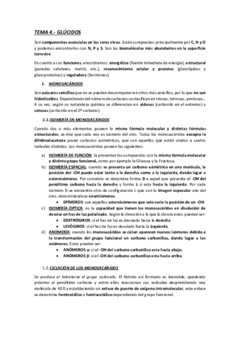 TEMA-4-GLUCIDOS.pdf