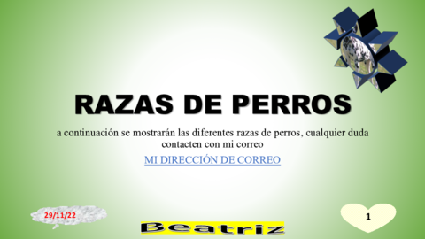 ppt.pdf