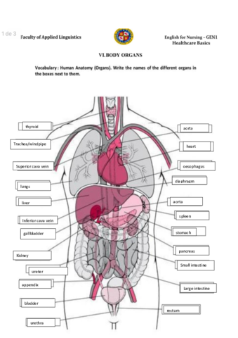 partes-cuerpo.pdf