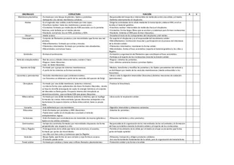 ORGANULOS-CEL.pdf