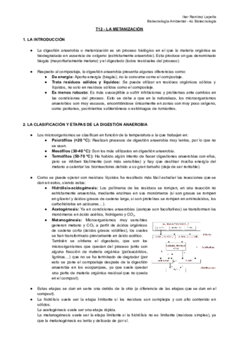 T12-BTAM-La-Metanizacion.pdf