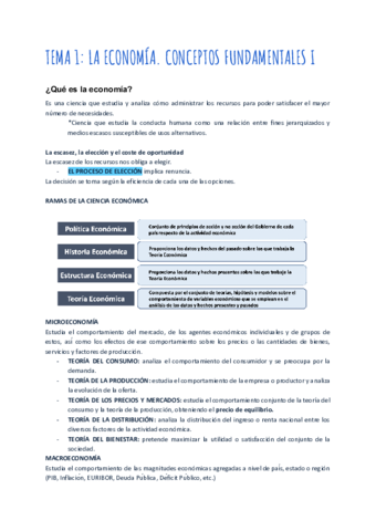 TEMA-1-y-2-CONCEPTOS-BASICOS.pdf