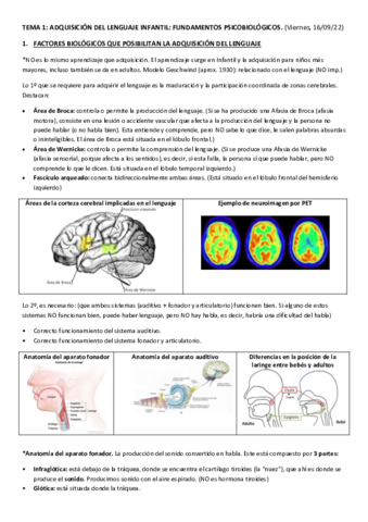 TEMA-1-LENGUA.pdf