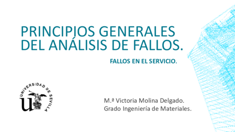 PRINCIPIOS-GENERALES-DEL-ANALISIS-DE-FALLOS.pdf