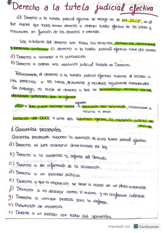 DERECHO-A-LA-TUTELA-JUDICIAL-EFECTIVA.pdf