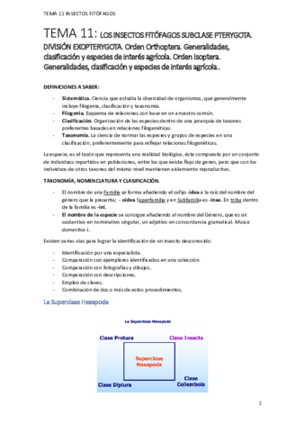Resumen-segundo-parcial-de-Parasitos.pdf