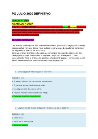Ex-PG-2020-JULIO.pdf