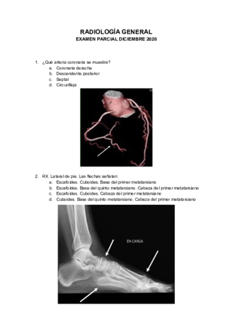 RADIO-PARCIAL-202021.pdf
