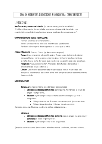 TEMA-14.pdf