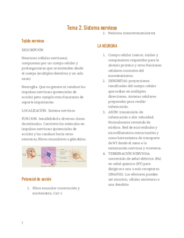 Sistema-nervioso-fisiologia.pdf