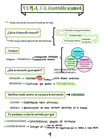 Resumen-desarrollo-cognitivo-y-motor-tema-2.pdf