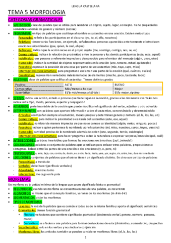 TEMA-5-MORFOLOGIA.pdf