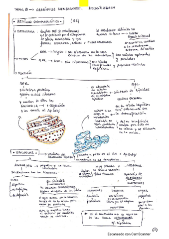 biologia-t8.pdf