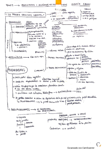 biologia-t9.pdf