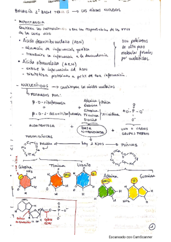biologia-t6.pdf