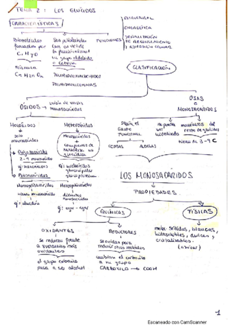 biologia-t2.pdf
