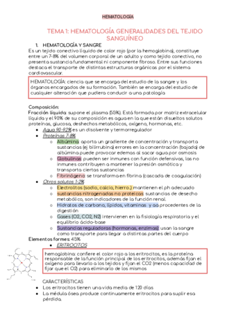 hemato.pdf