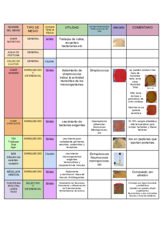 Documento-sin-titulo.pdf