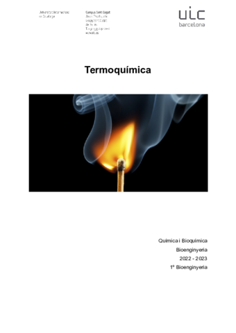 Tema-5-Termoquimica.pdf