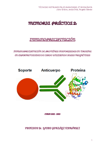 INFORME-PRACTICA-2-Y-3-TIA-Julia-Gracia.pdf