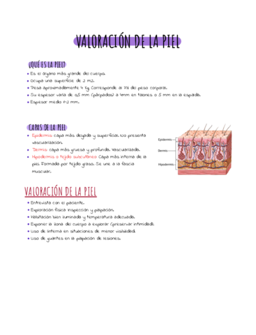 Piel-CV-Suturas-.pdf