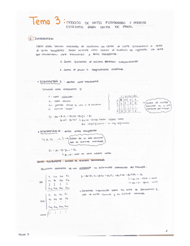 TEMA-3-econometria.pdf